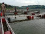 IMG-20201128-WA0070
