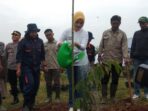 TANAM POHON: Istri Gubernur Ridwan Kamil, Atalia Praratya saat menanam pohon dilahan UPTD Balai Pengembangan Benih Dinas Hortikultura dan Tanaman Pangan Provinsi Jawa Barat, Jl. Raya Jatinangor Km 23 Kabupaten Sumedang, Rabu (01/02). TANAM POHON: Istri Gubernur Ridwan Kamil, Atalia Praratya saat menanam pohon dilahan UPTD Balai Pengembangan Benih Dinas Hortikultura dan Tanaman Pangan Provinsi Jawa Barat, Jl. Raya Jatinangor Km 23 Kabupaten Sumedang, Rabu (01/02).