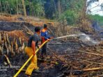 KEBAKARAN kebun bambu