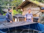 monitoring budidaya ikan