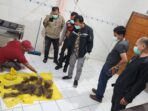 kerangka blur