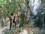 Terjadi Lagi Kebakaran Hutan dan Lahan