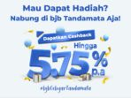 WhatsApp Image 2023-10-24 at 14.46.51