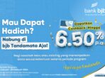 WhatsApp Image 2024-02-06 at 14.42.23