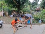 Videoshot_20250209_201212