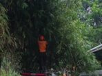 F Ingatkan Warga Waspada Musim Hujan