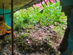 IMG-20251119-WA0052