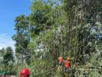 IMG-20260210-WA0035